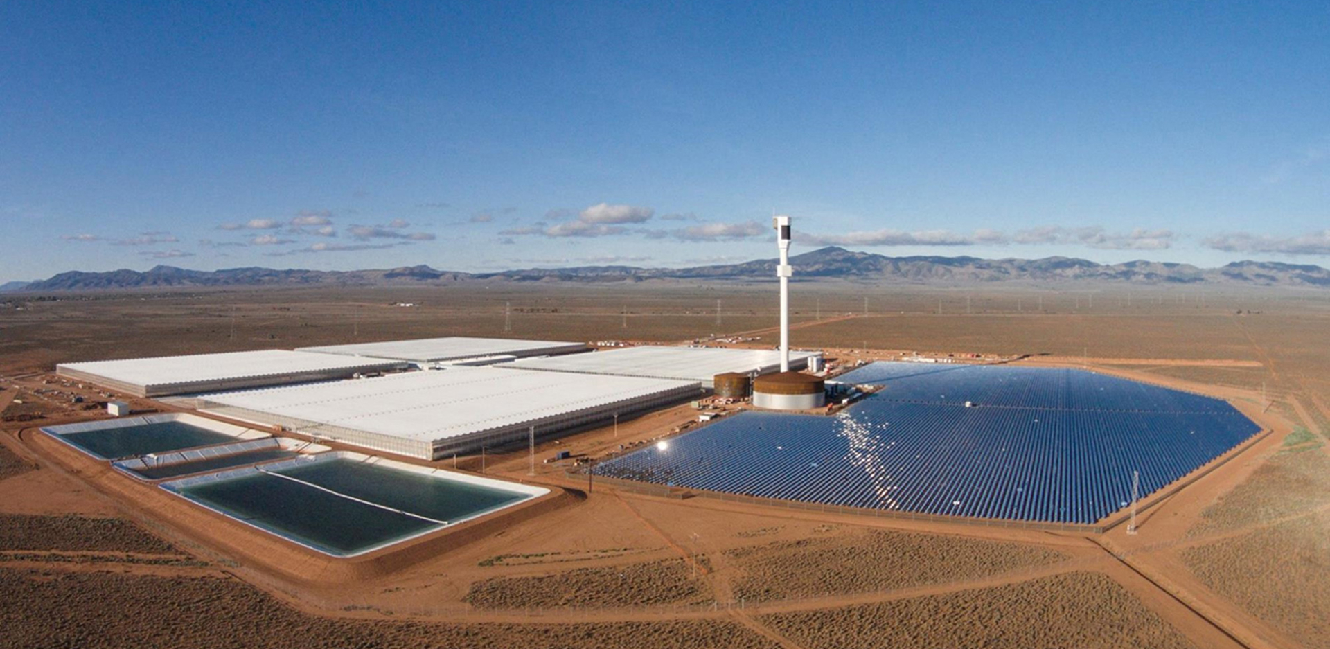 Sundrop Farms high tech turnkey greenhouse complex operating in an arid desert climate.