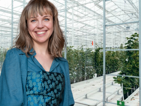 Greenhouse Life cycle Sustainable