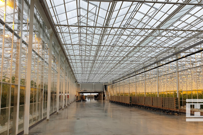 Wide interior view of the Project Norby greenhouse, showing tall glass walls, steel roof structure, and rows of plants under warm grow lights.