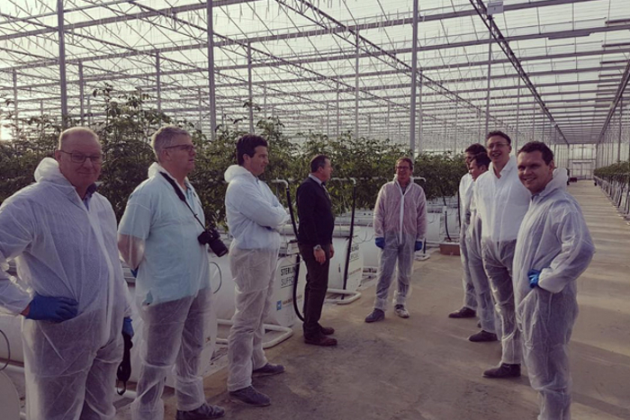 Group of people wearing protective clothing and gloves during a guided tour inside a modern greenhouse with tomato plants.