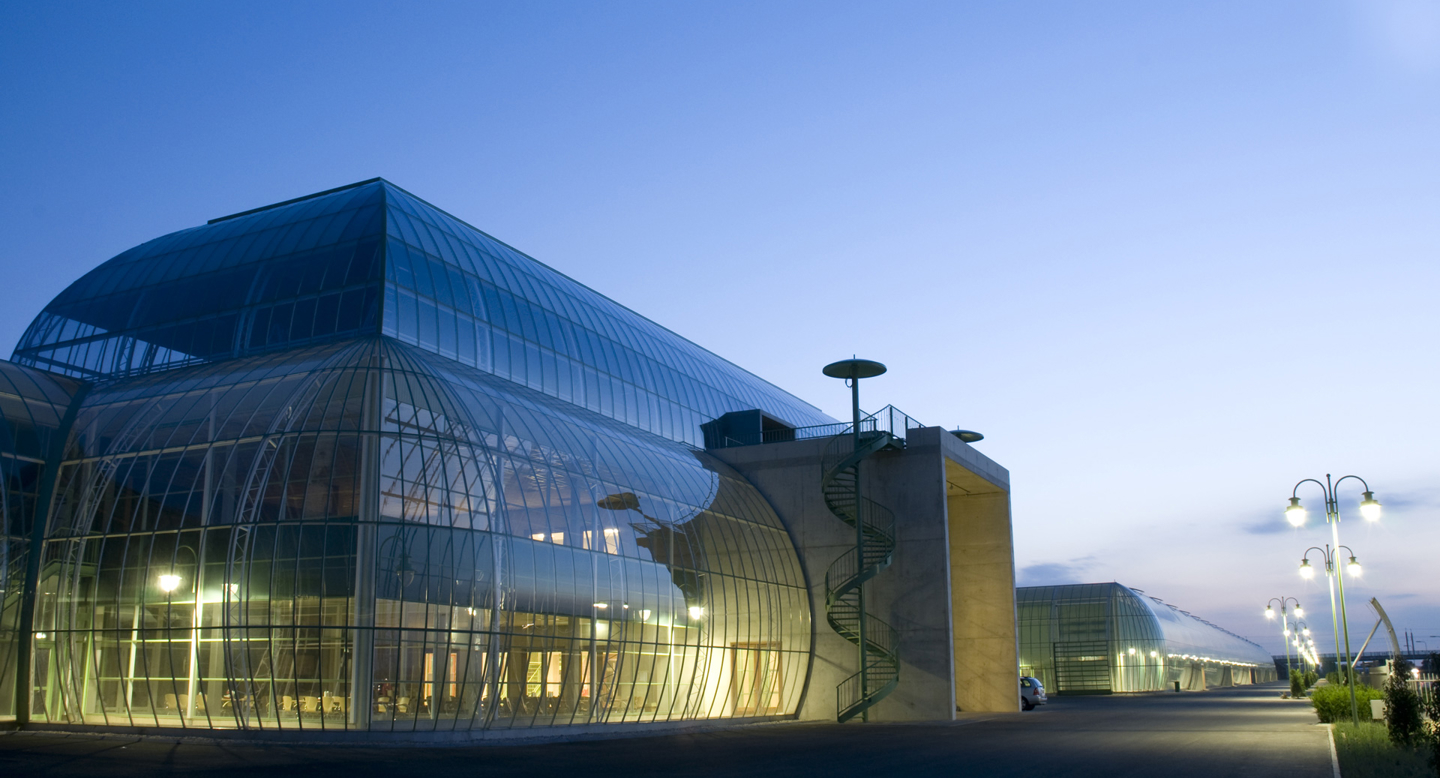 Newly built turnkey Anthura greenhouse facility by Van der Hoeven