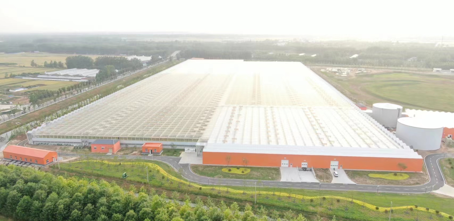 Luchtfoto van Van der Hoeven Pizhou Agriculture hightech kassencomplex in China.