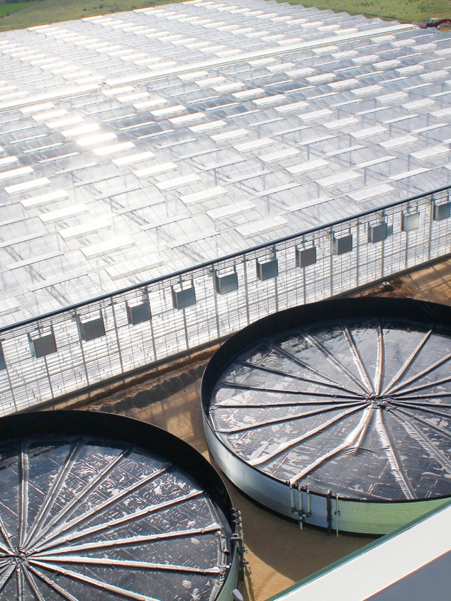 Greenhouse control or installation phase by Van der Hoeven