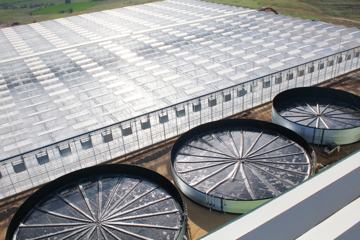 Greenhouse control or installation phase by Van der Hoeven