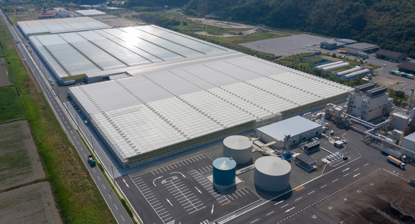 Aerial overview of Sara greenhouse project from June 2019