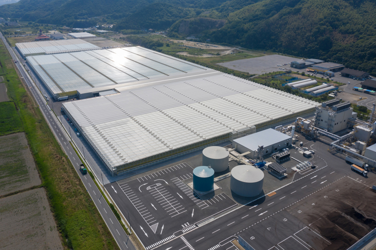 Aerial overview of Sara greenhouse project from June 2019
