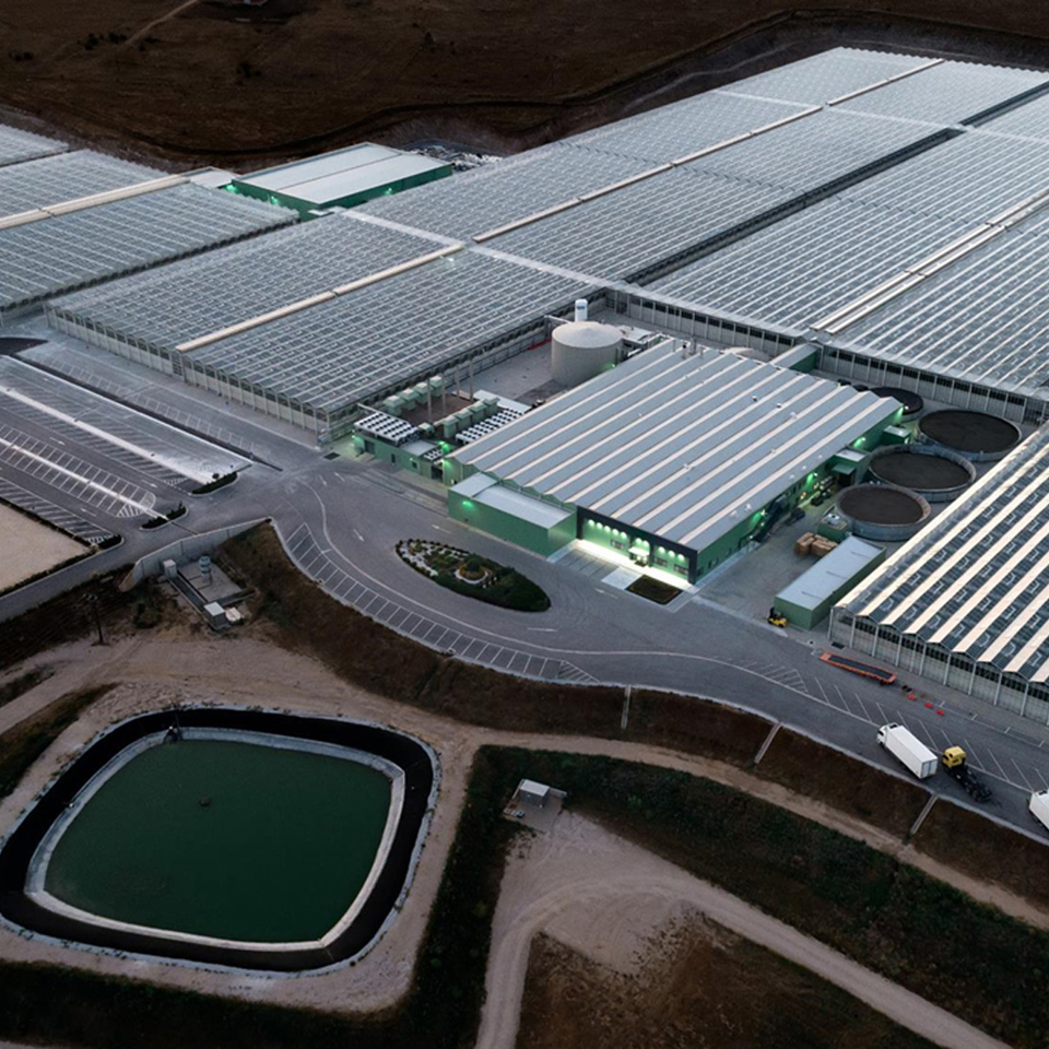 Aerial view of high tech turnkey greenhouses by Van der Hoeven.