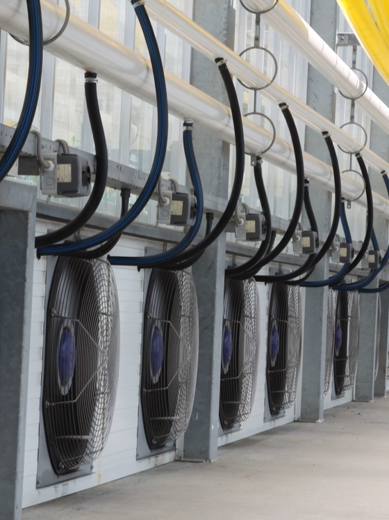 Row of large ventilation fans inside a semi-closed greenhouse in Kasaoka, Japan, with pipes, cables, and yellow ducts for advanced climate control.