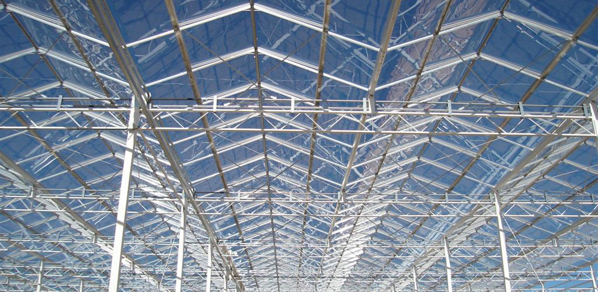 Interieur van een moderne Van Der Hoeven kas voor Rijk Zwaan, met een groot glazen dak dat de blauwe lucht weerspiegelt.