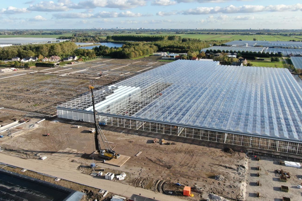 Rijk Zwaan greenhouse collaboration visual