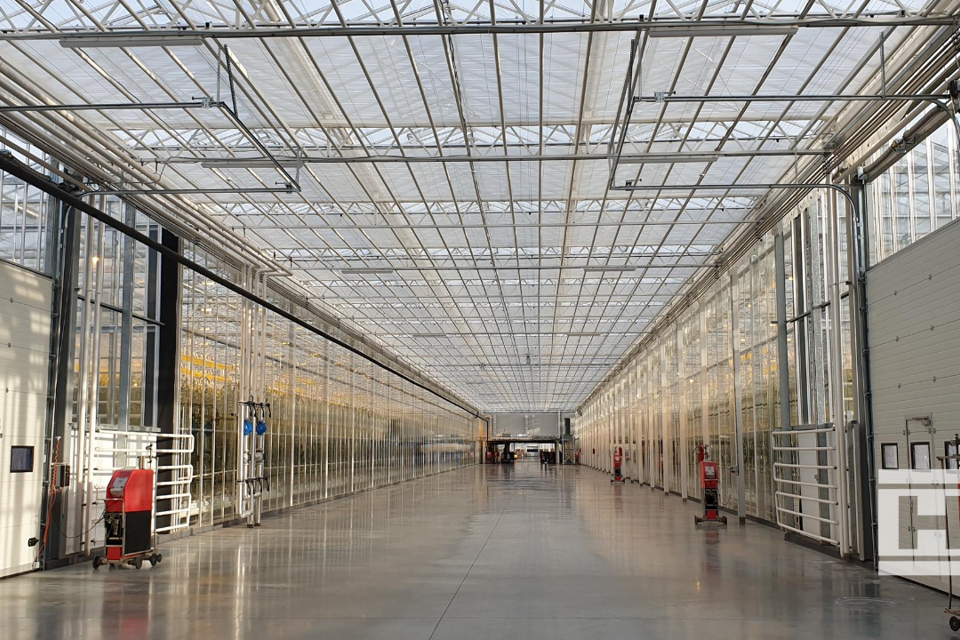 Binnenaanzicht van Project Norby kas met glazen dak, moderne constructie en brede centrale gang.