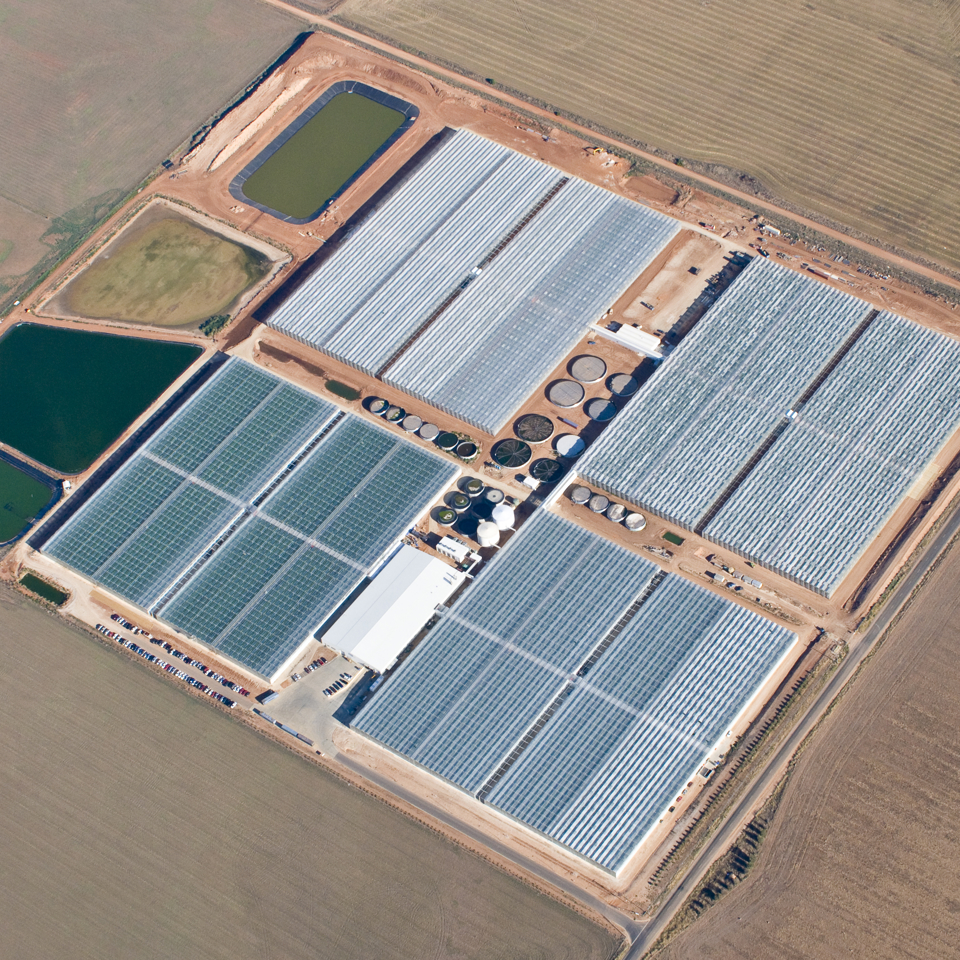 Aerial view of Dvineripe glasshouse built by Van der Hoeven in Australia - Life Cycle of a Greenhouse