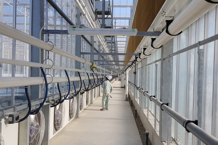 Greenhouse control system or environment image (Jan 2019)