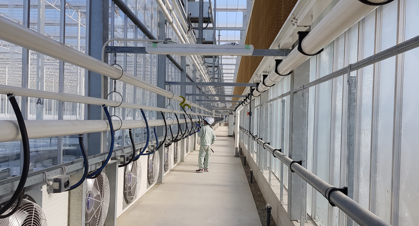 Greenhouse control system or environment image (Jan 2019)