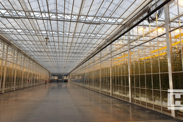 Wide interior view of Project Norby greenhouse with transparent roof, metal frame structure, and glass walls, partially showing crops under yellow grow lights.
