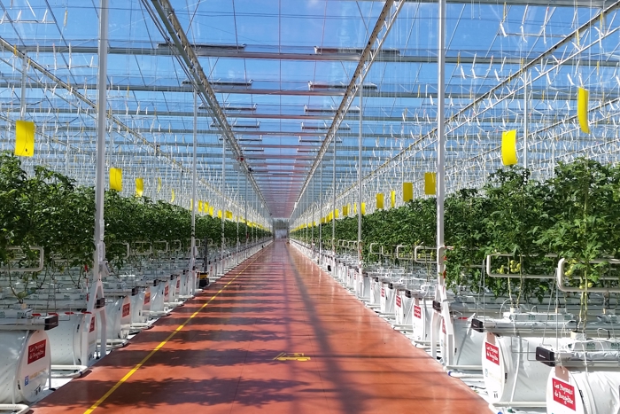 Modular semi closed turnkey greenhouse system by Van der Hoeven deployed in France