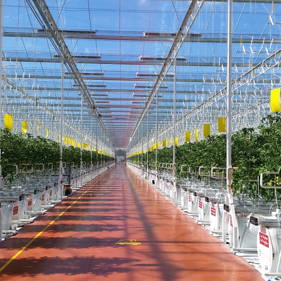 Modular semi closed turnkey greenhouse system by Van der Hoeven deployed in France