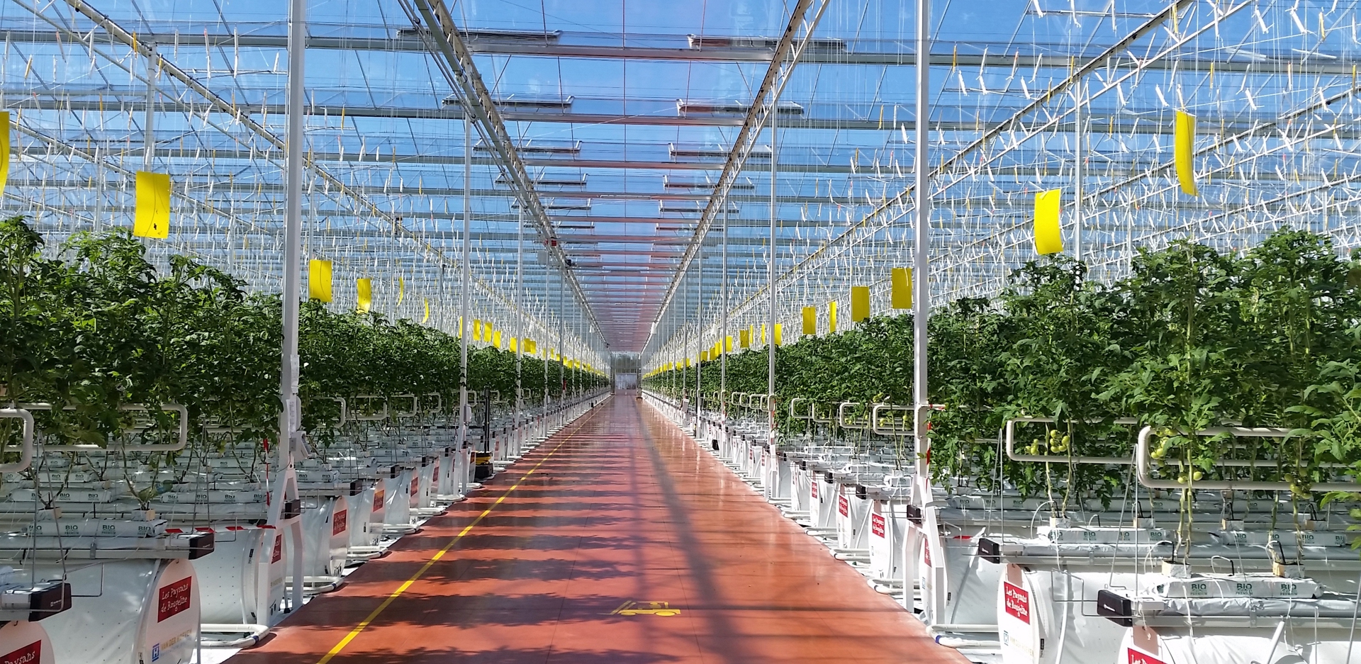 Modular semi closed turnkey greenhouse system by Van der Hoeven deployed in France