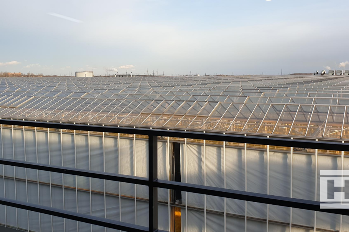 View over the roof of Project Norby greenhouse complex, showing rows of glass panels under a clear blue sky, seen from a balcony railing.
