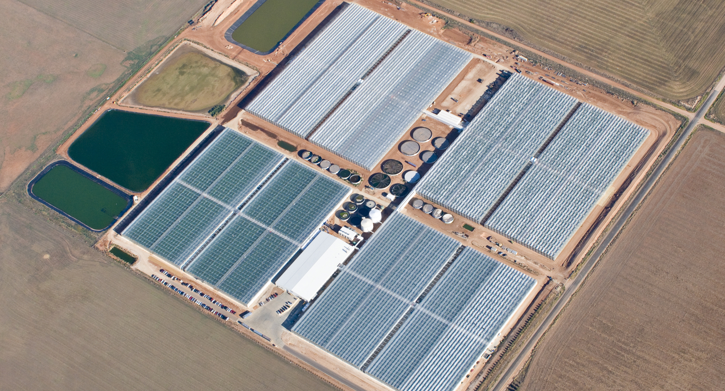 Drone view of Dvineripe greenhouse facility built by Van der Hoeven