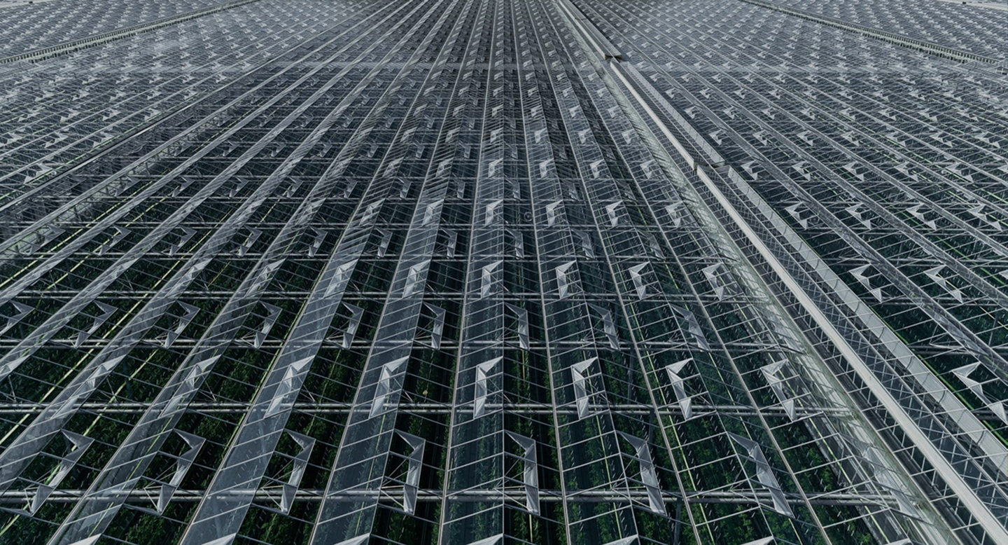 Close-up luchtfoto van een groot kasdak met rijen glazen panelen en geopende ventilatieramen.