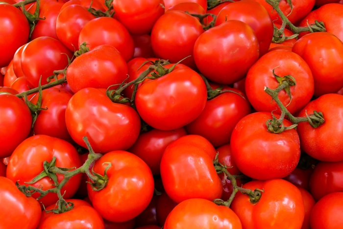 Tomato rows in climate-controlled glasshouse by Van der Hoeven