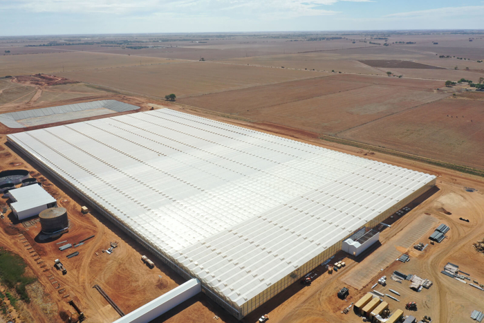 Turnkey greenhouse facility built by Van der Hoeven from the Netherlands, located in Australia, showcasing large-scale glass structures in a rural agricultural landscape.