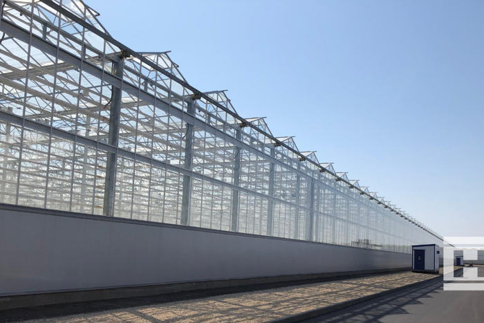 Exterior side view of the Project Norby greenhouse, showing a long glass structure with steel framework under a clear blue sky.